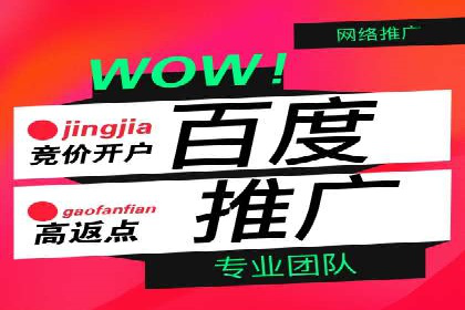 SEO与百度推广结合的营销策略——经典案例解析